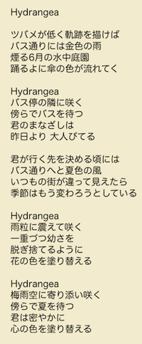 hydrangea