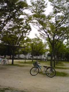 梅雨の晴れ間