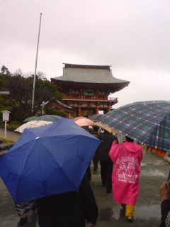 雨の鵜戸さん